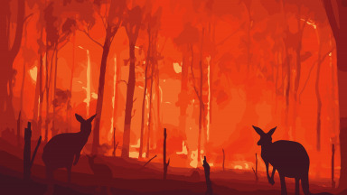 Australien in Flammen Brände Waldbrände Känguruh