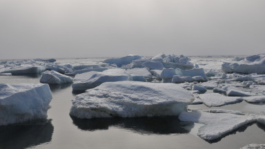 Der Klimawandel und wirtschaftliche Aktivitäten schaden der Arktis.