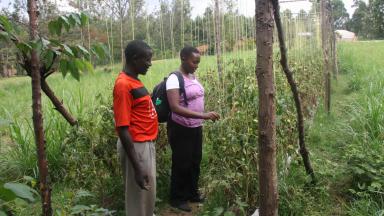 IASS-Wissenschaftlerin Serah Kiragu spricht mit einem kenianischen Bauern über seine Erfahrungen mit neuen Techniken der Bodenbewirtschaftung.